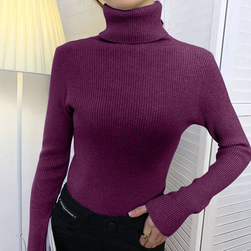 Slim Fit Turtleneck Knit Sweater