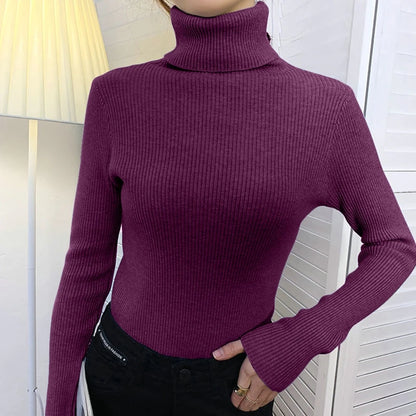 Slim Fit Turtleneck Knit Sweater