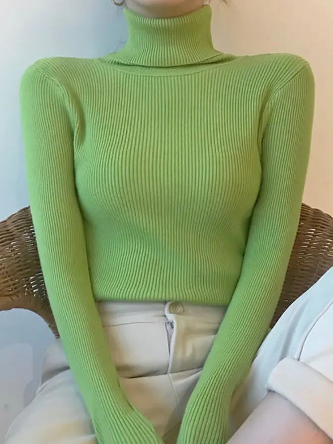 Slim Fit Turtleneck Knit Sweater