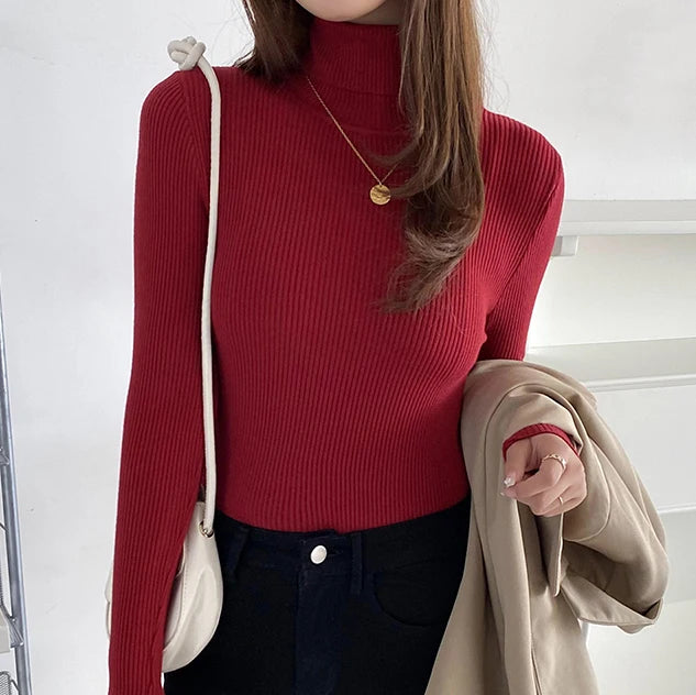 Slim Fit Turtleneck Knit Sweater
