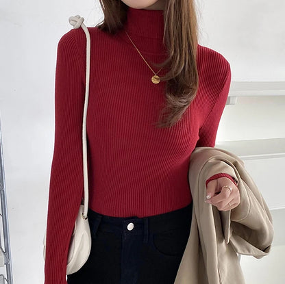 Slim Fit Turtleneck Knit Sweater