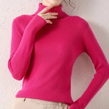 Slim Fit Turtleneck Knit Sweater