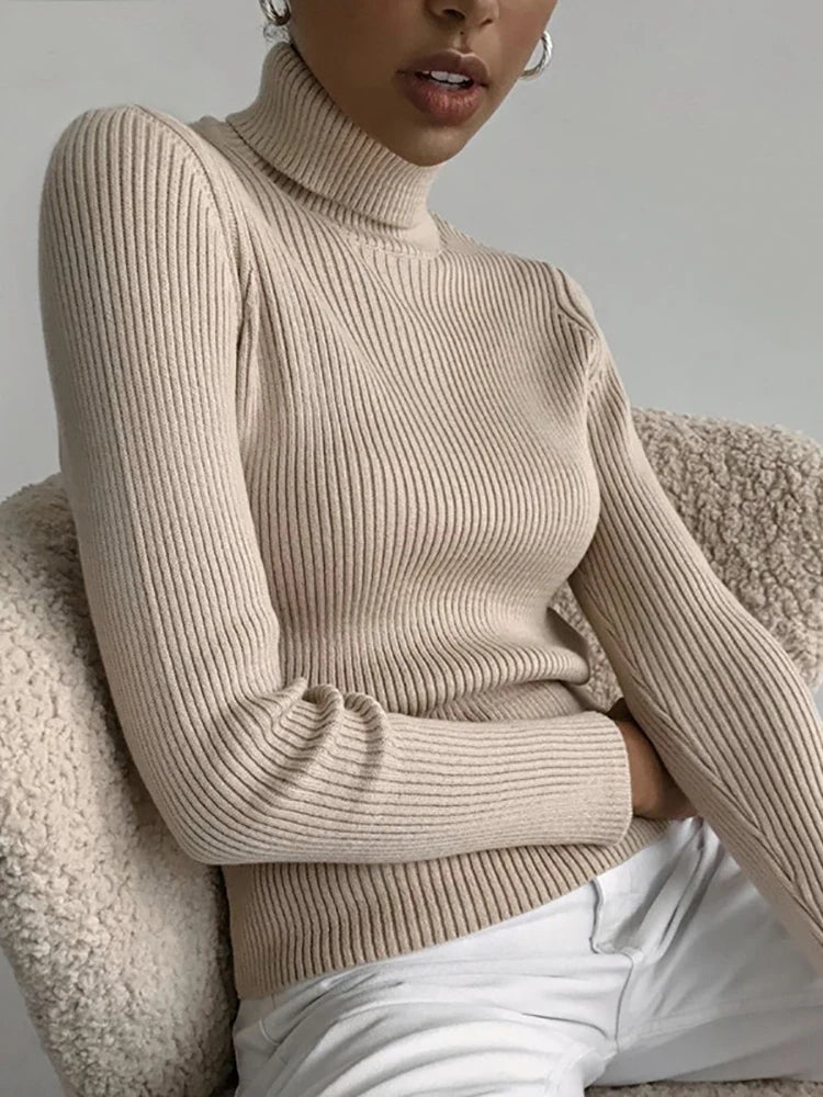 Slim Fit Turtleneck Knit Sweater