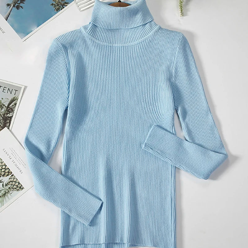 Slim Fit Turtleneck Knit Sweater