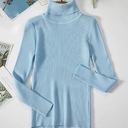Slim Fit Turtleneck Knit Sweater