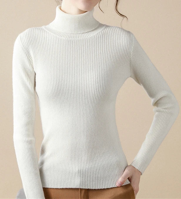 Slim Fit Turtleneck Knit Sweater