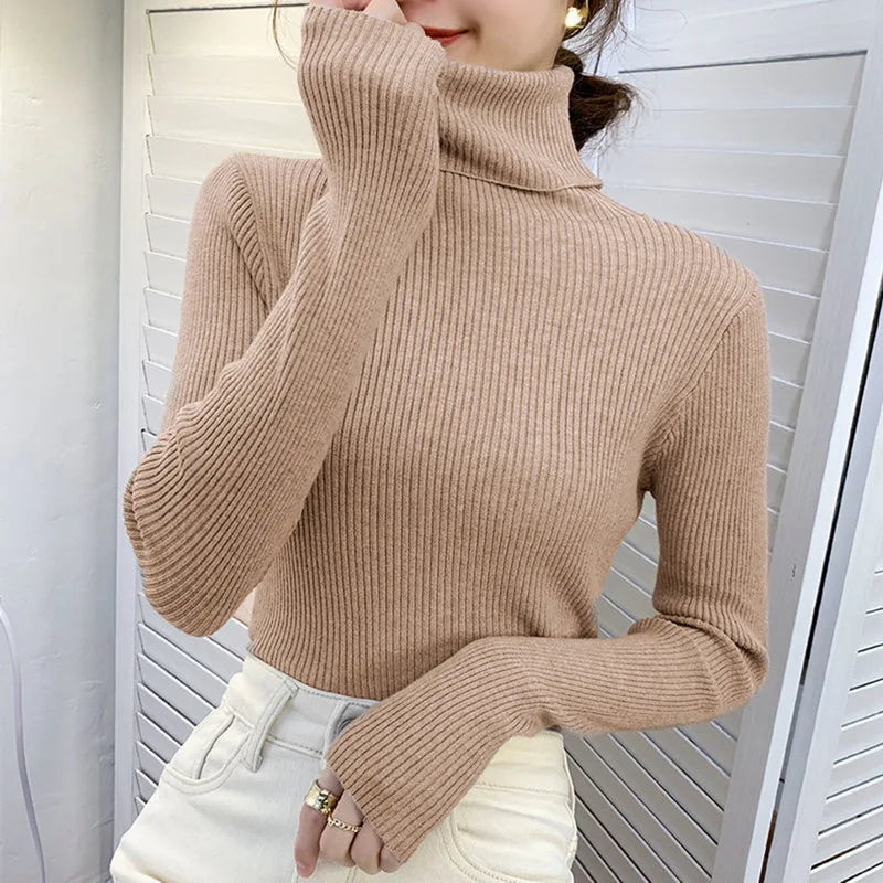 Slim Fit Turtleneck Knit Sweater