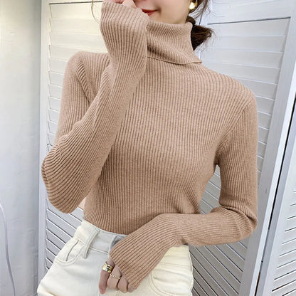 Slim Fit Turtleneck Knit Sweater