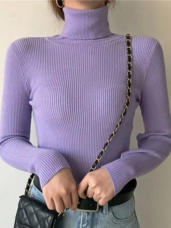 Slim Fit Turtleneck Knit Sweater
