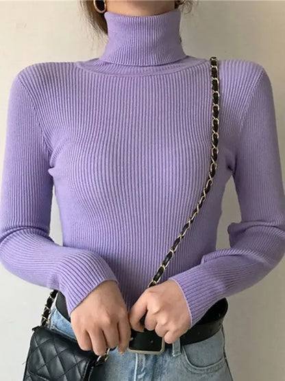 Slim Fit Turtleneck Knit Sweater