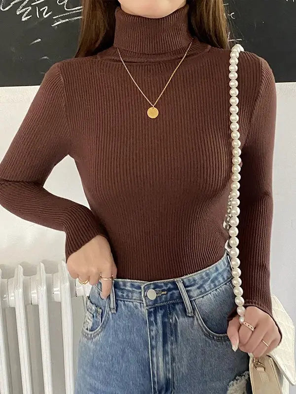 Slim Fit Turtleneck Knit Sweater