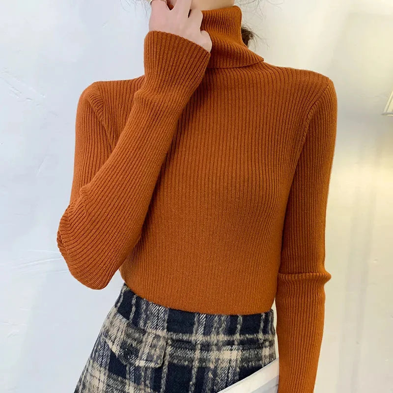 Slim Fit Turtleneck Knit Sweater
