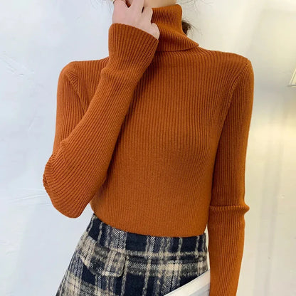 Slim Fit Turtleneck Knit Sweater