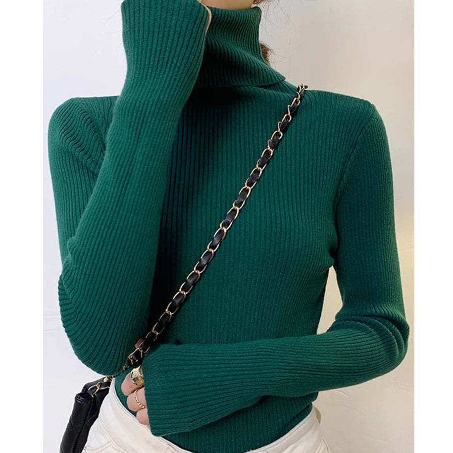 Slim Fit Turtleneck Knit Sweater