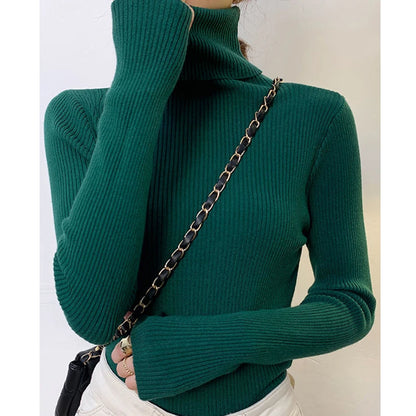 Slim Fit Turtleneck Knit Sweater