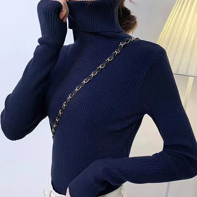 Slim Fit Turtleneck Knit Sweater