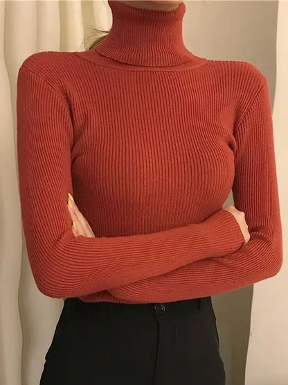Slim Fit Turtleneck Knit Sweater