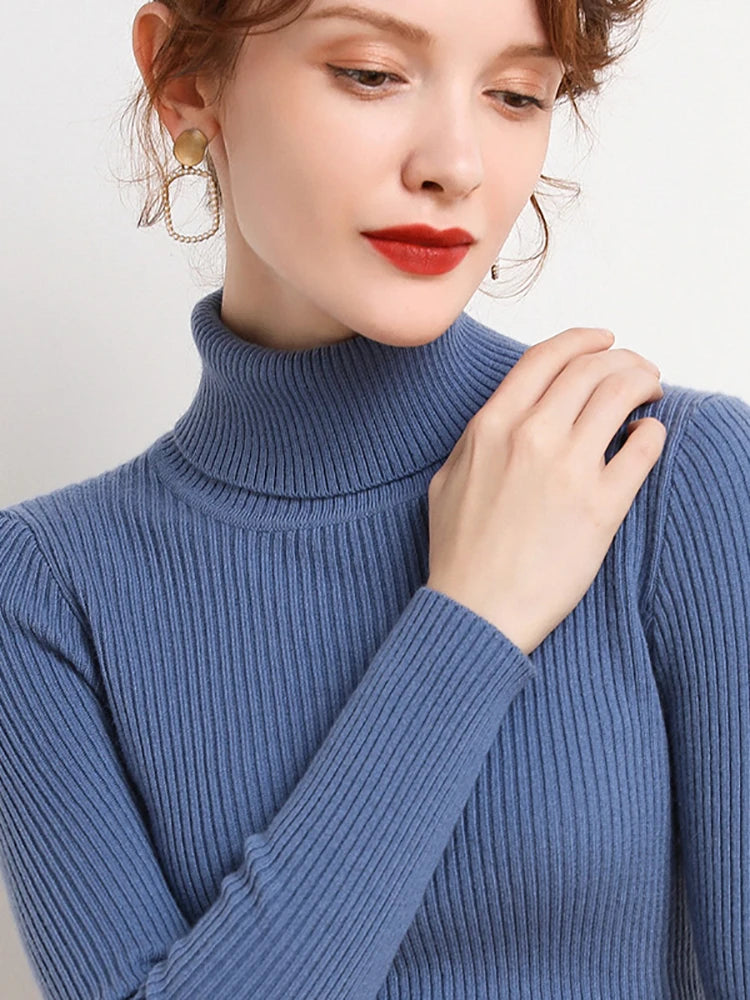 Slim Fit Turtleneck Knit Sweater