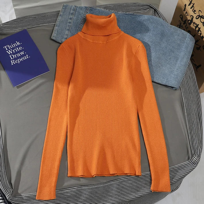 Slim Fit Turtleneck Knit Sweater