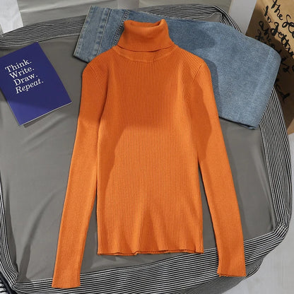 Slim Fit Turtleneck Knit Sweater