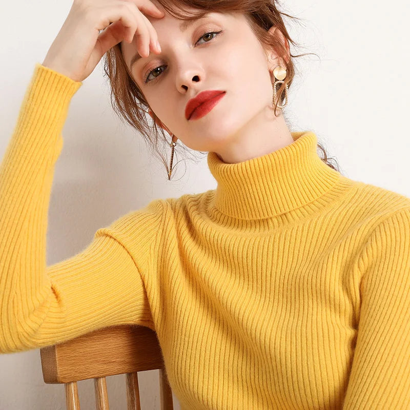 Slim Fit Turtleneck Knit Sweater